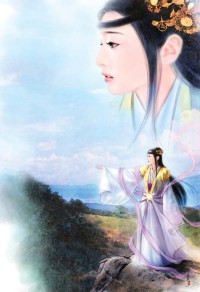 (红楼梦同人)红楼攻略